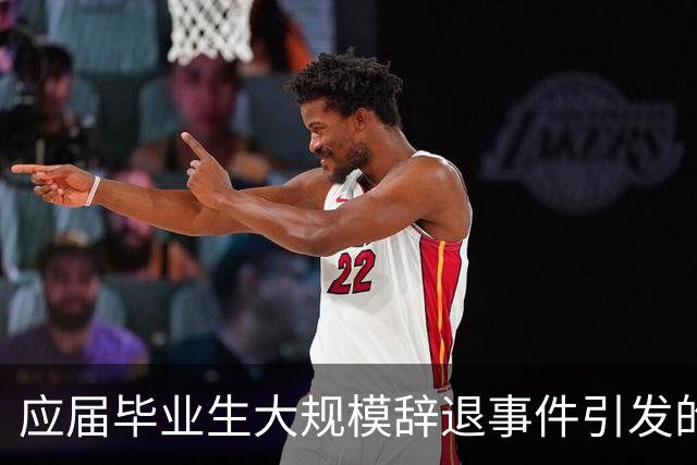 应届毕业生大规模辞退事件引发的连锁反应与质疑